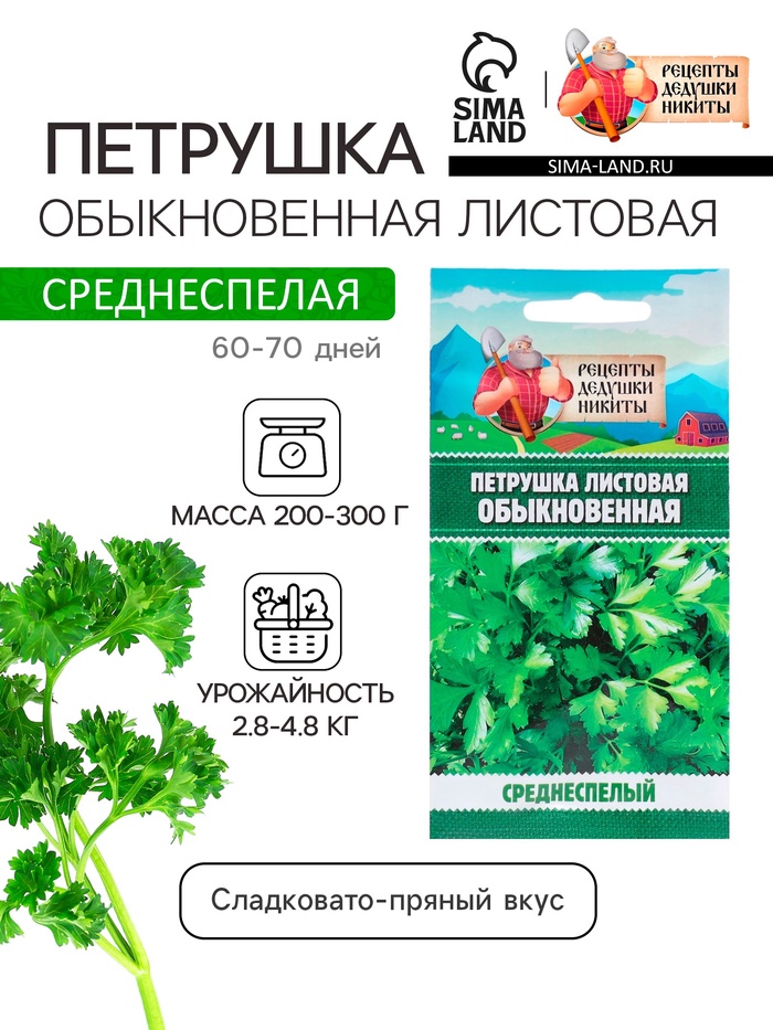 Семена Петрушка 