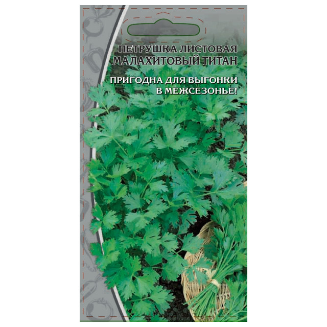 семена петрушка Малахитовый титан 2г